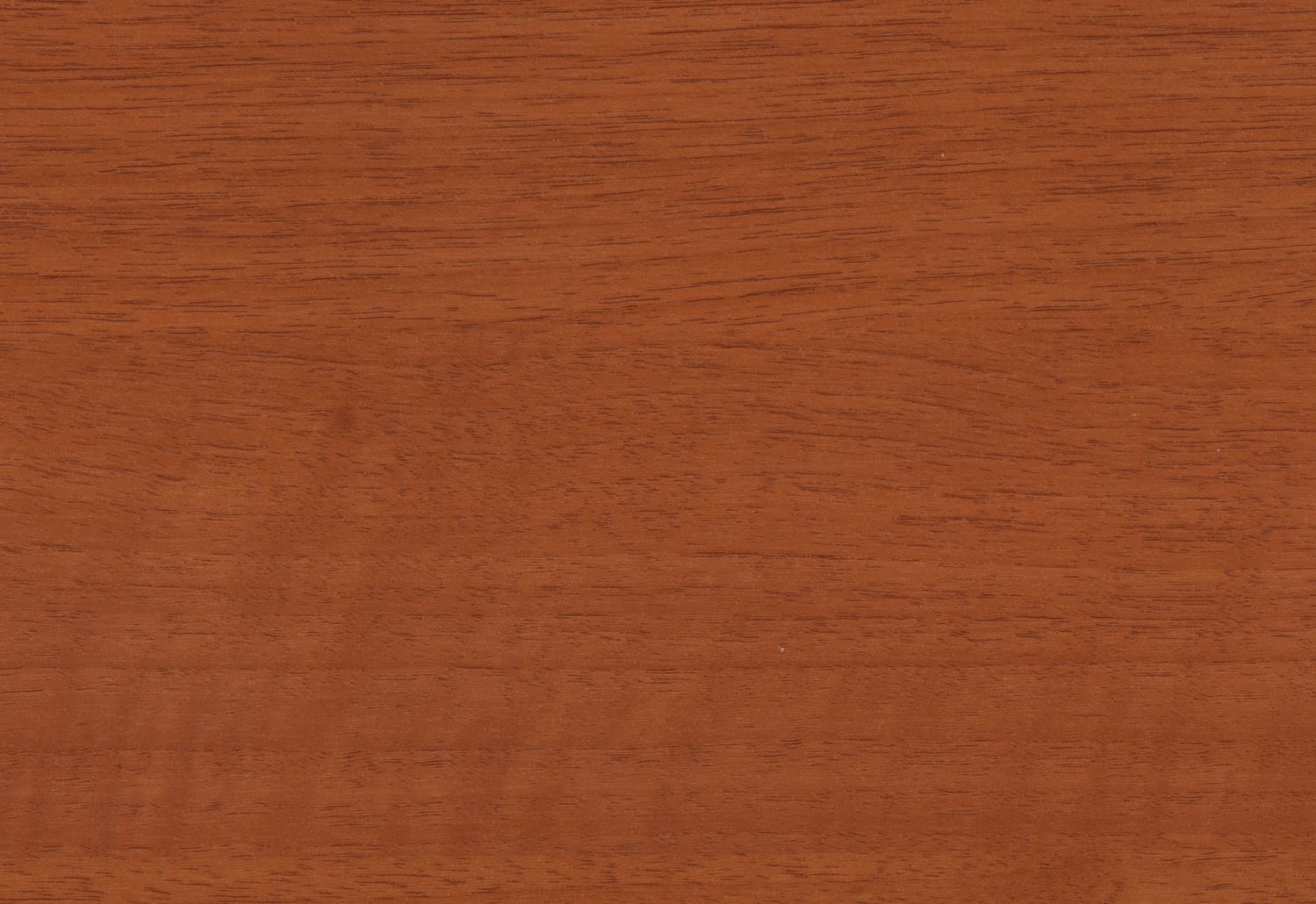 A close up image of a brown wooden surface.